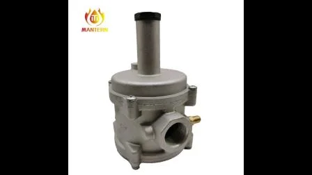 Cast Aluminum Body Natural Gas Filter Pressure Regulator for Boiler